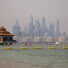 IMG_4222 copy